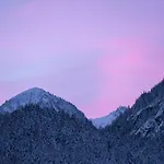 Alp Chalet *