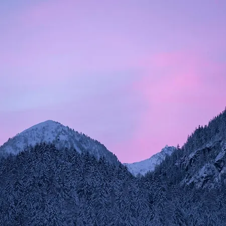 Alp Chalet *